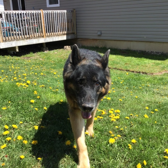 Meet your Posher, Susanne - Picture 16 of 16